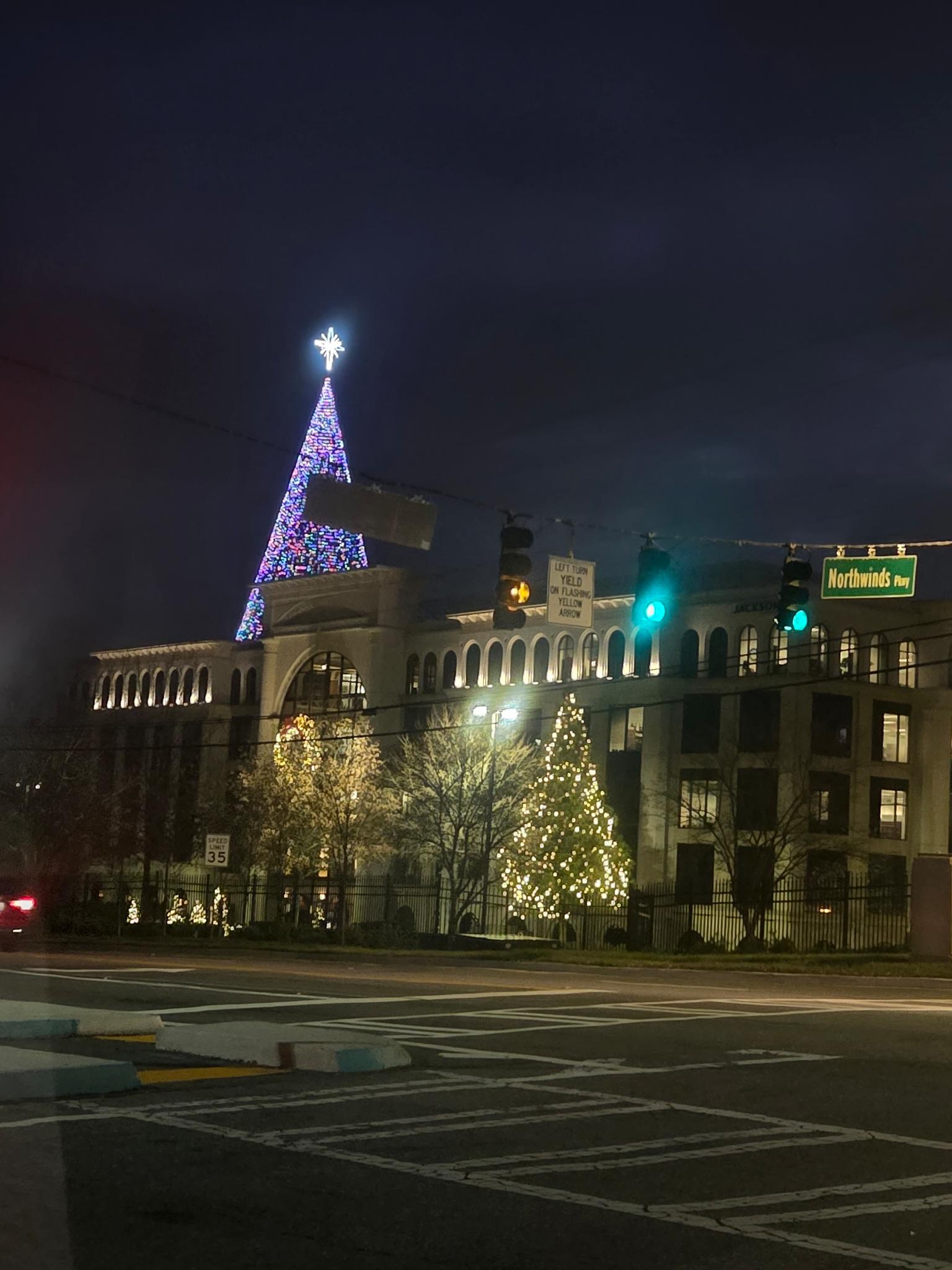 Alpharetta holiday lights